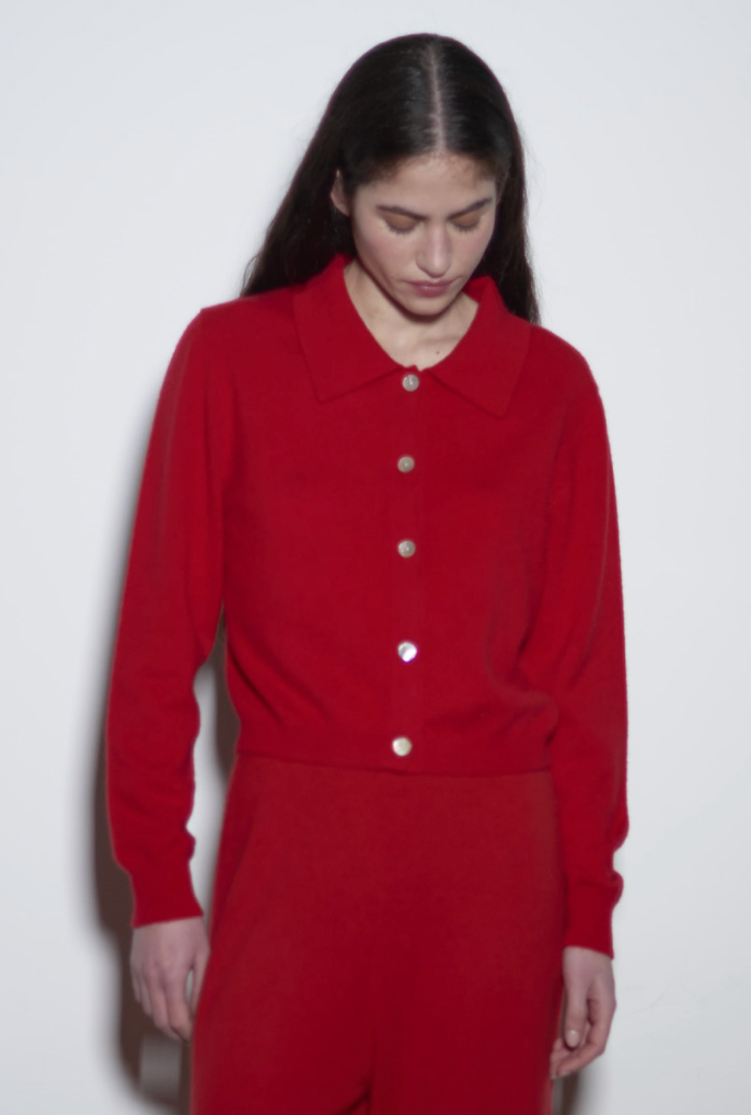 hai Shirt Collar Cardigan